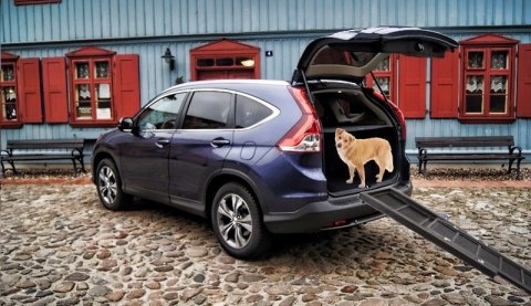 RAMPA KŁADKA PODEST PLATFORMA DLA PSA SKŁADANA DO 80 KG DREWNIANA