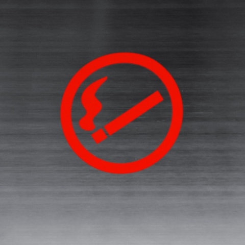 Popielnica ogrodowa ścienna ze stali nierdzewnej – duża, na kluczyk, inox