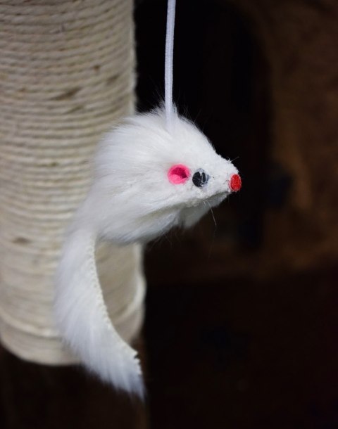 DRAPAK DLA KOTA BRĄZOWY W ŁAPKI 170 CM SIZALOWE SŁUPKI PLATFORMY WIDOKOWE