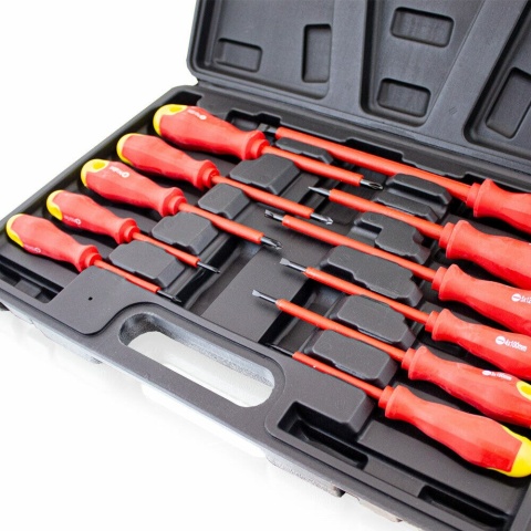 Zestaw Wkrętaków precyzyjnych Bituxx 11 elementów magnetyczne stal CrV